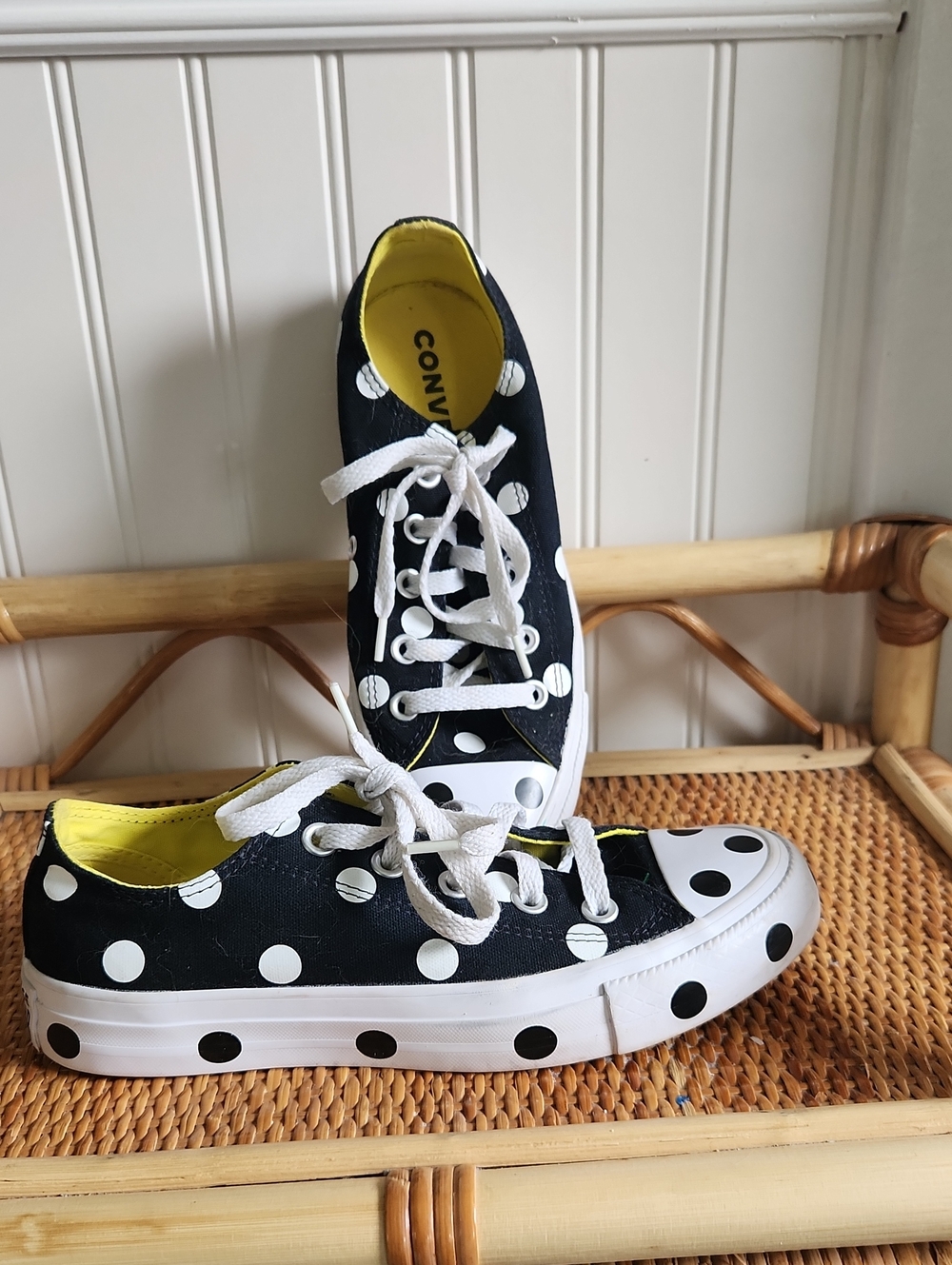 Polka Dot Converse